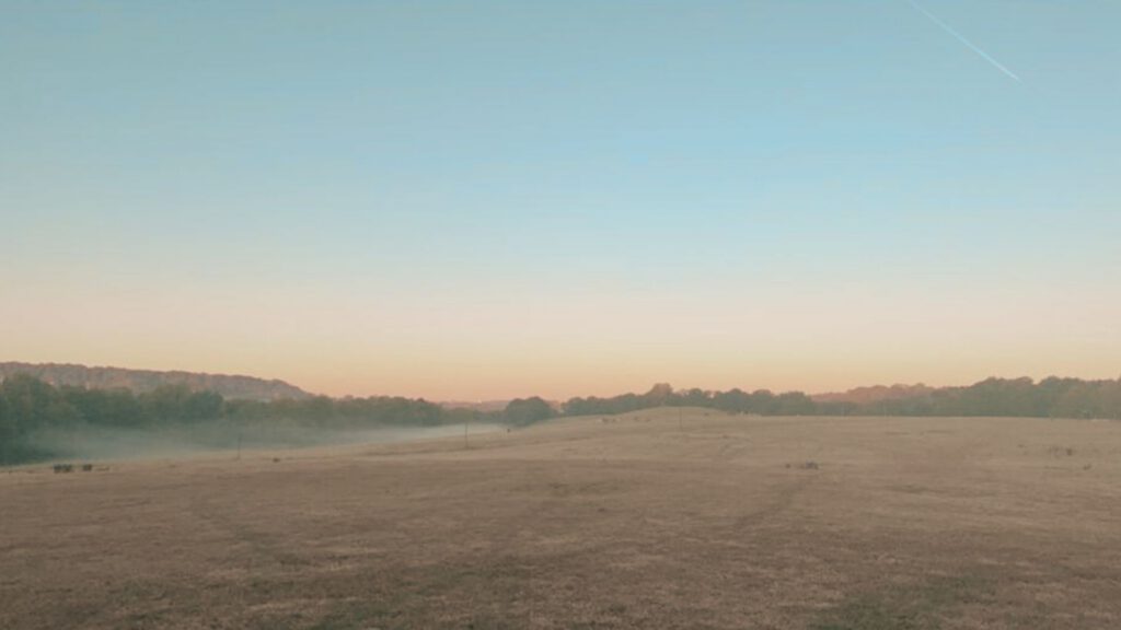 Unsere große Wiese bei Sonnenuntergang