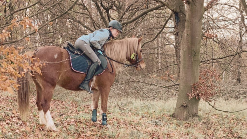 Ausreiten ist das reine Glück