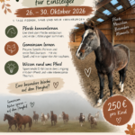 Flyer Reiterferien für Einsteiger