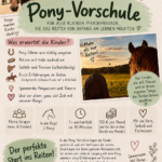 Flyer Pony-Vorschule